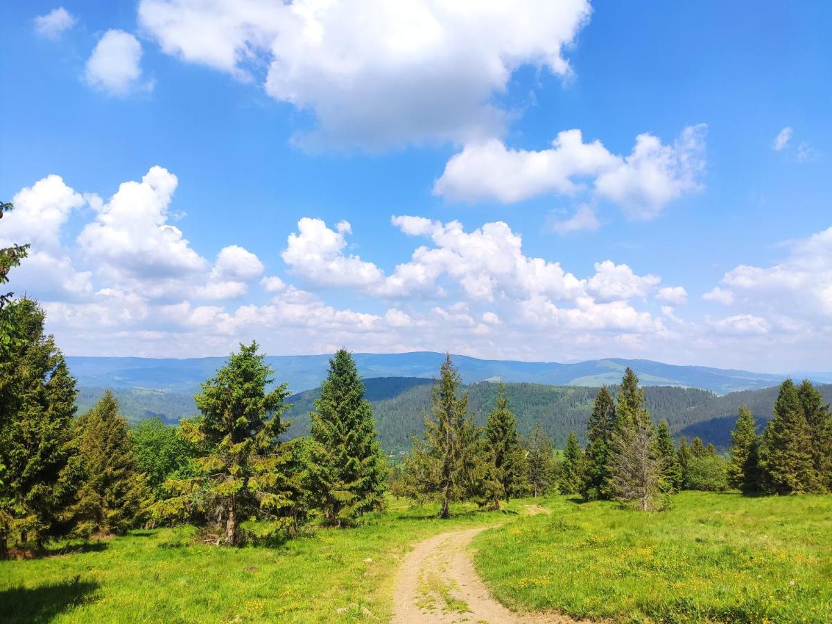 Western Tatras Slovakia Oravsky Biely Potok Exterior foto